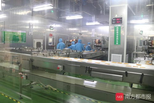 東莞“倍增計(jì)劃”申報(bào)啟動(dòng) 新評(píng)價(jià)體系引領(lǐng)高質(zhì)量發(fā)展，信息服務(wù)業(yè)務(wù)迎新機(jī)遇